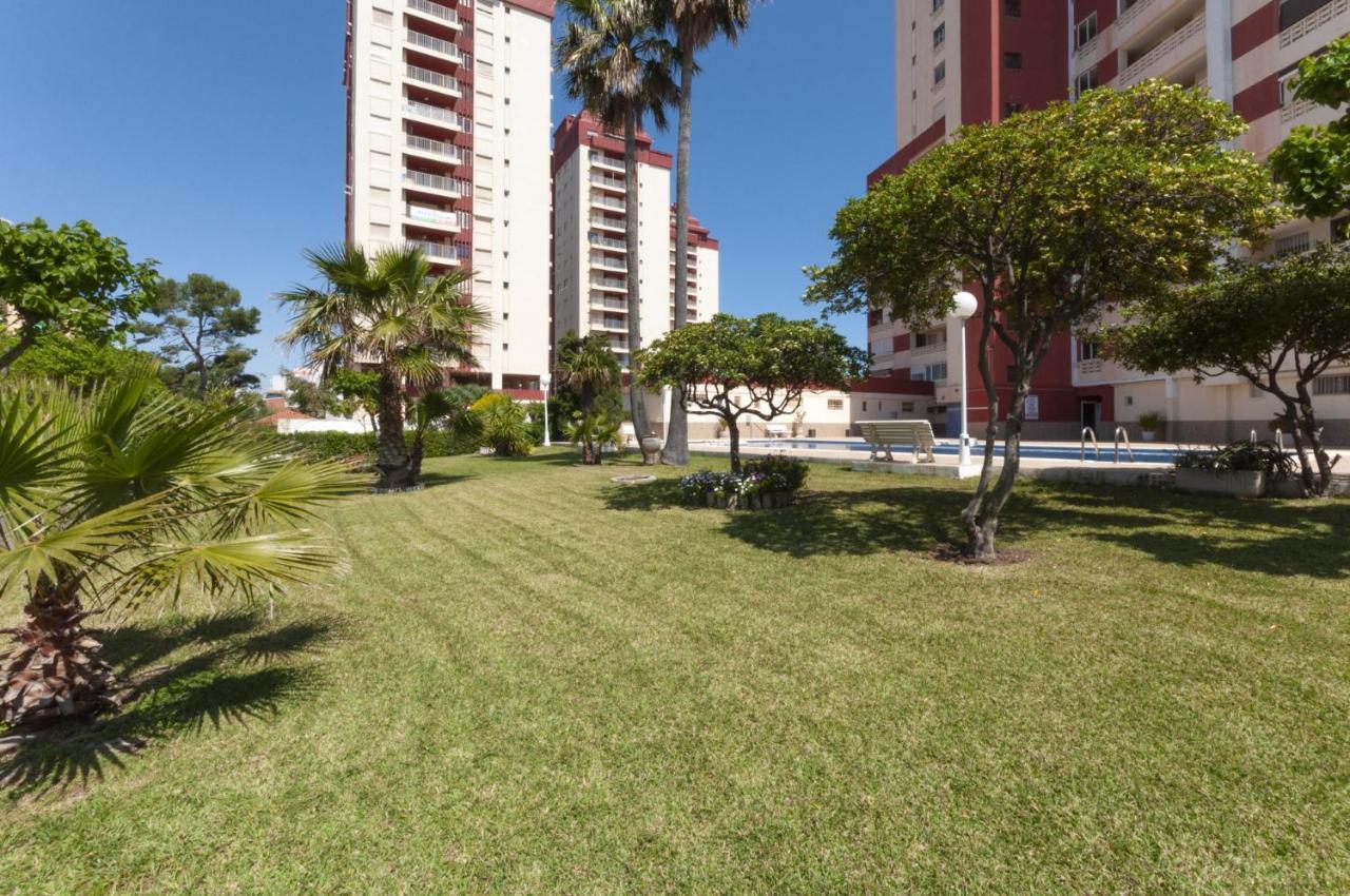 Appartement Ag Aquarium à Playa de Gandia Extérieur photo